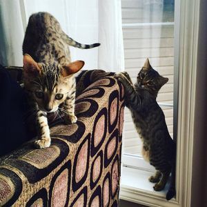 Meet your Posher, Kevin